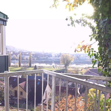 Vogelnest Apartment Pirna Exterior photo